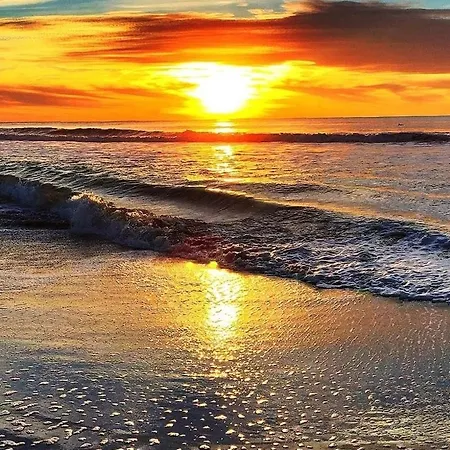 Du Debarquement. Maison Bord De *