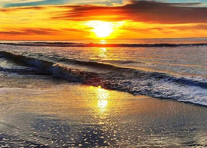 Du Debarquement. Maison Bord De *